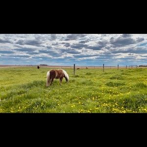 Meet your Posher, Bridgette